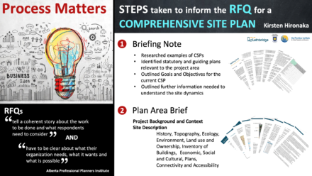 Steps taken to inform the RFQ for a Comprehensive Site Plan